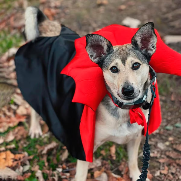 Halloween Dog and Cat Costume Vampire Cape - Pet Halloween Outfit Cat Cloak 2025 - LitNest